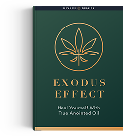 Exodus Effect Ebook Cover